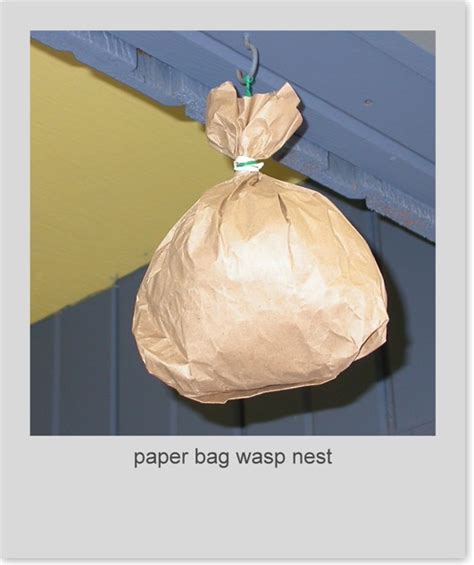 fake paper bag wasp nest|paper bag wasp tricks.